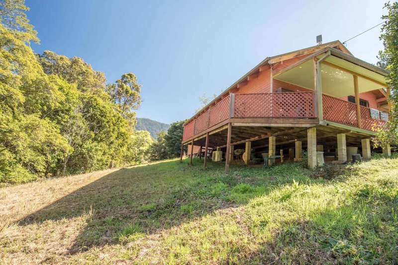 Photo - Gleniffer NSW 2454 - Image 10