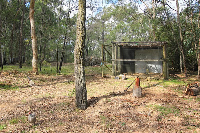 Photo - Glenorie NSW 2157 - Image 11