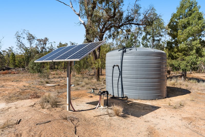 Photo - 'Googoorewon' Lot 56 Stonehenge Road, Stonehenge QLD 4357 - Image 5