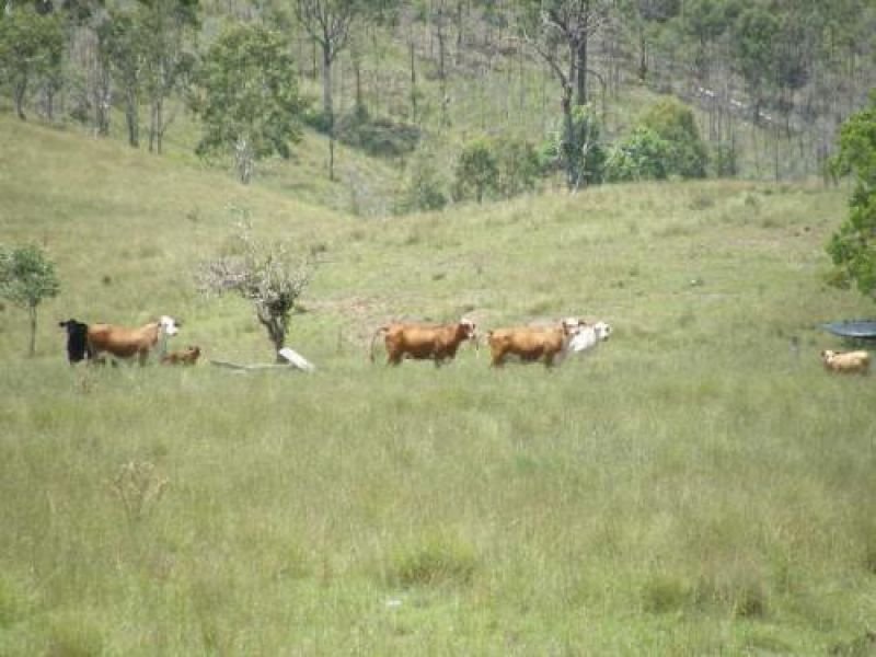 Photo - Goomeri QLD 4601 - Image 2