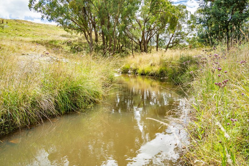 Photo - "Goonumburrah" Quartpot Road (Roseberg) , Woodstock NSW 2793 - Image 5