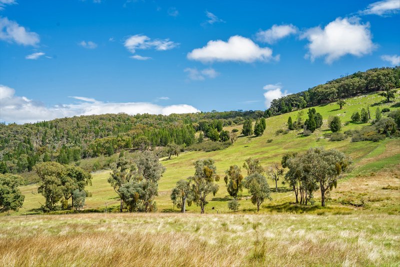 Photo - "Goonumburrah" Quartpot Road (Roseberg) , Woodstock NSW 2793 - Image 7