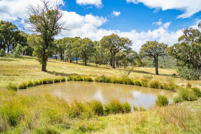 Photo - "Goonumburrah" Quartpot Road (Roseberg) , Woodstock NSW 2793 - Image 10