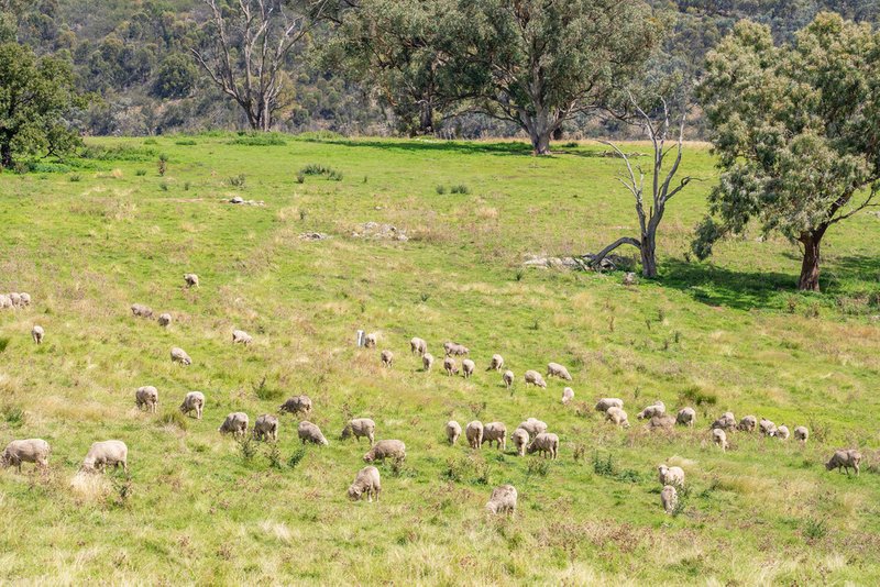 Photo - "Goonumburrah" Quartpot Road (Roseberg) , Woodstock NSW 2793 - Image 11