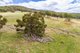 Photo - "Goonumburrah" Quartpot Road (Roseberg) , Woodstock NSW 2793 - Image 12