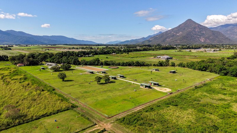 Photo - Gordonvale QLD 4865 - Image 3