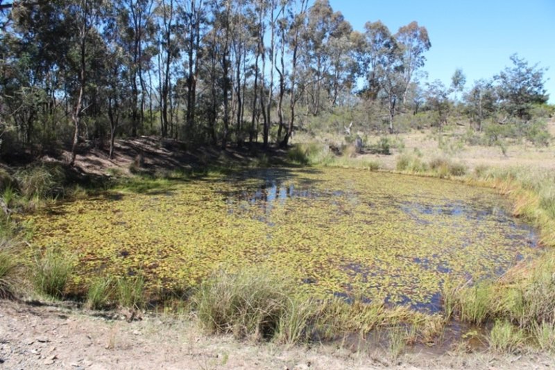 Photo - Gowan NSW 2795 - Image 21