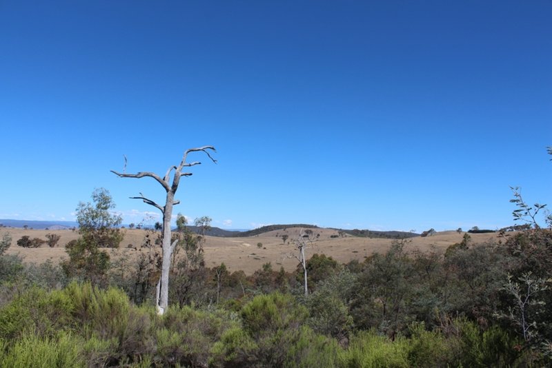 Photo - Gowan NSW 2795 - Image 22