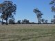 Photo - . Grahams Bridge Road, Wonwondah VIC 3401 - Image 11