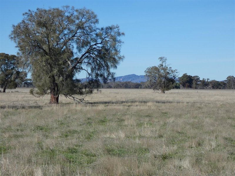 Photo - . Grahams Bridge Road, Wonwondah VIC 3401 - Image 16