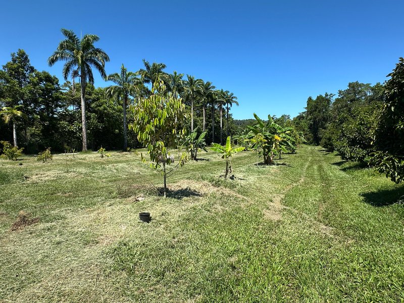 Photo - Granadilla QLD 4855 - Image 22