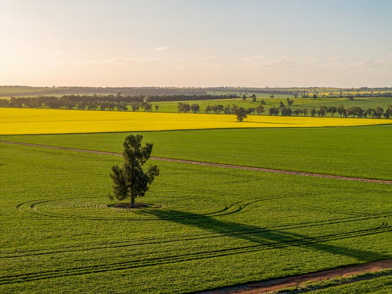 'Green Hills' 146 Seventeen Mile Mail Road, Marrar NSW 2652