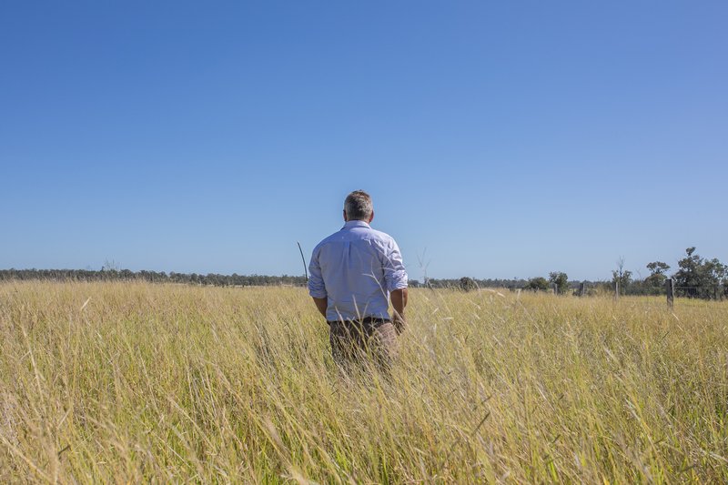 Greenswamp QLD 4413