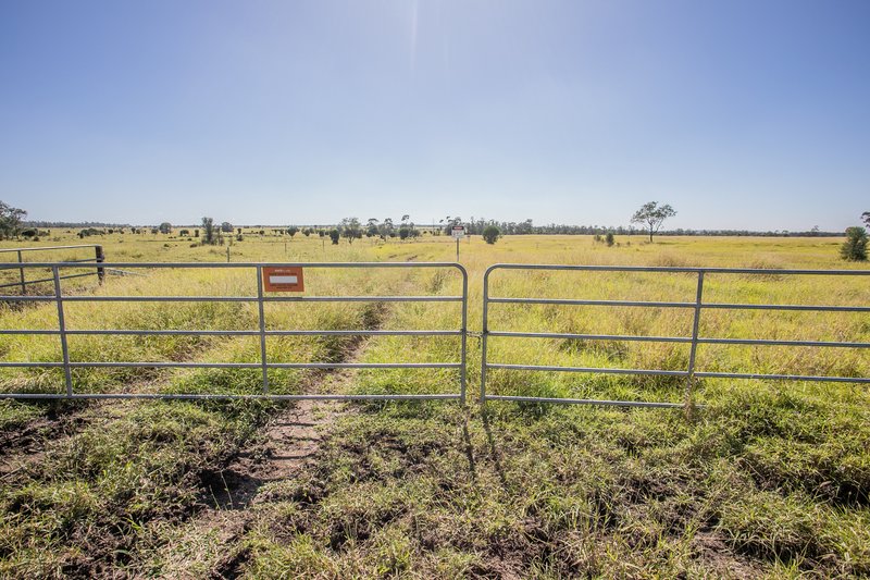 Photo - Greenswamp QLD 4413 - Image 6