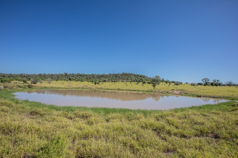 Photo - Greenswamp QLD 4413 - Image 8