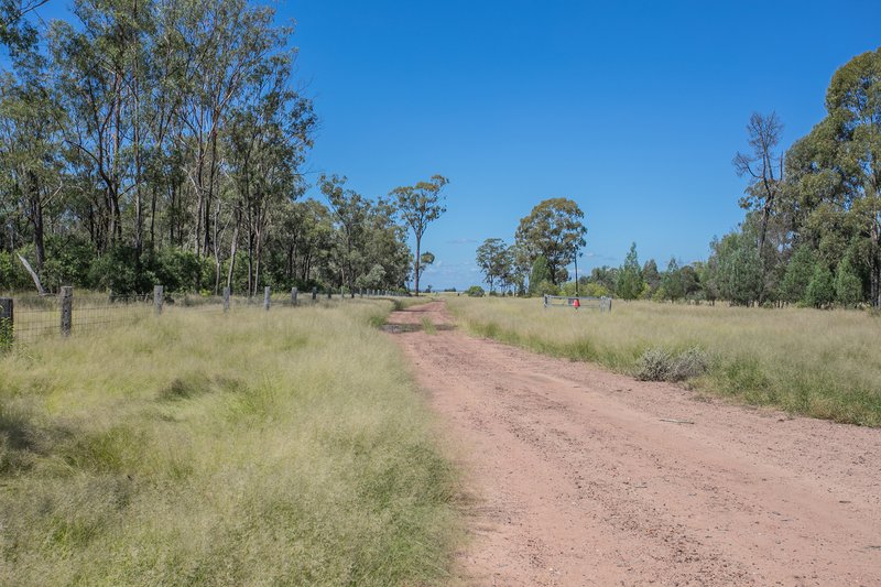 Photo - Greenswamp QLD 4413 - Image 14