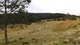 Photo - Gresford NSW 2311 - Image 10