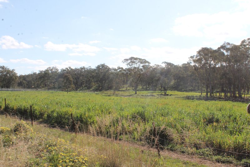 Photo - Gulgong NSW 2852 - Image 14