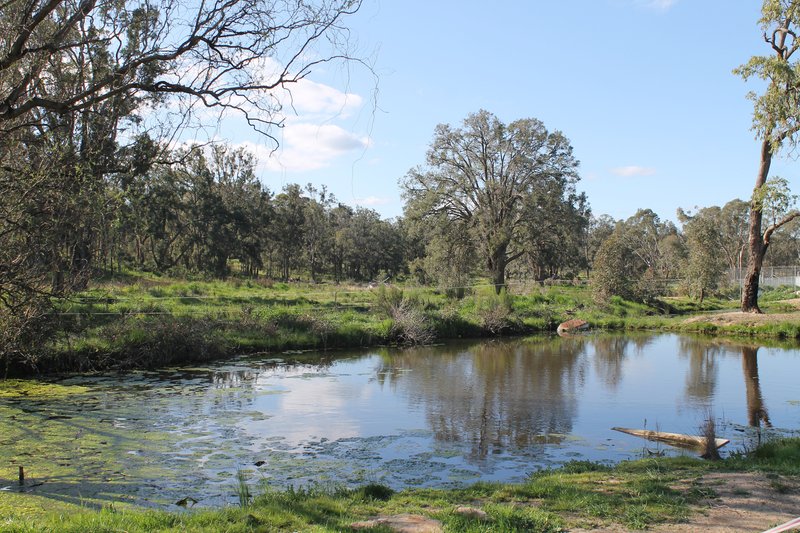 Photo - Gulgong NSW 2852 - Image 16