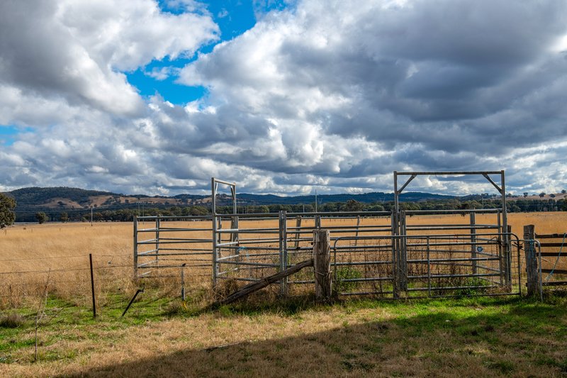 Photo - Gulgong NSW 2852 - Image 17