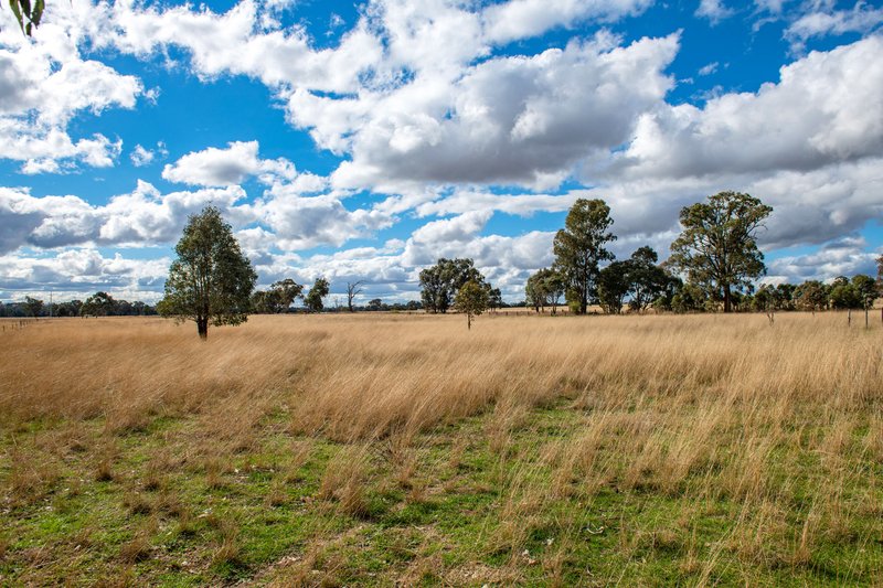 Photo - Gulgong NSW 2852 - Image 19