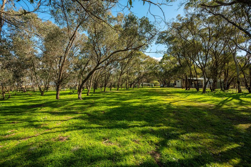 Photo - Gulgong NSW 2852 - Image 17