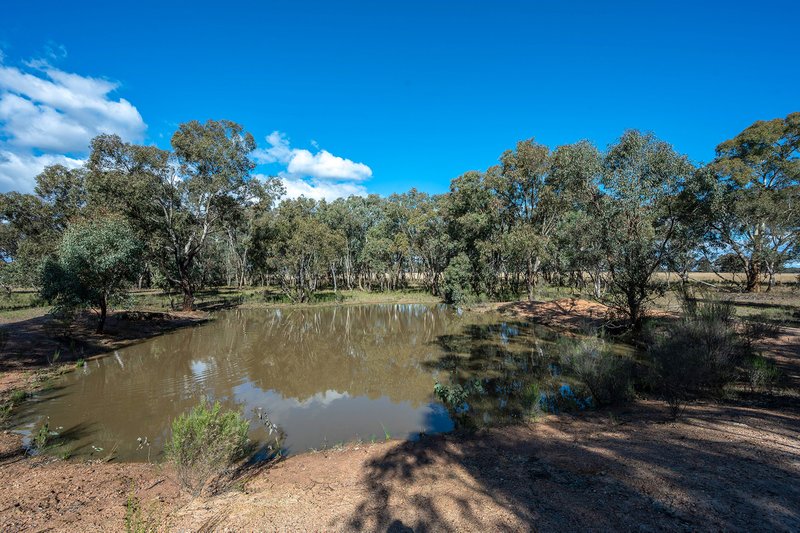 Photo - Gulgong NSW 2852 - Image 33