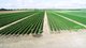 Photo - Gumlu QLD 4805 - Image 2