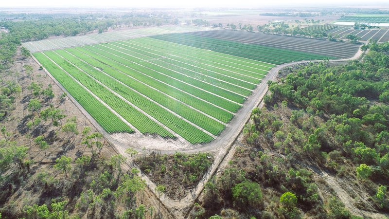 Photo - Gumlu QLD 4805 - Image 3