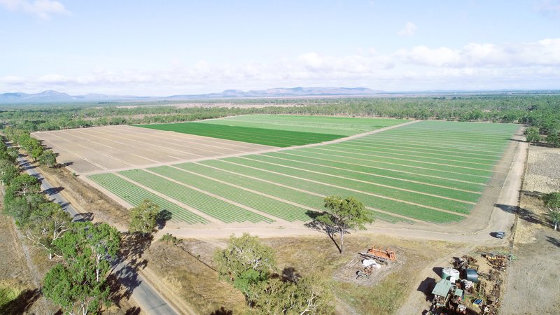 Photo - Gumlu QLD 4805 - Image 4