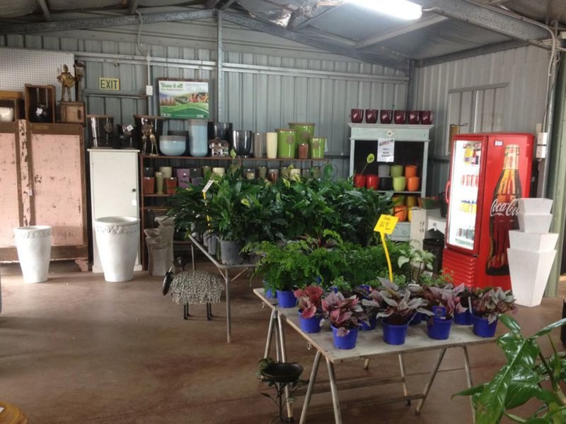 Photo - Gumtree Ga 24 Somerset Street, Kingaroy QLD 4610 - Image 6