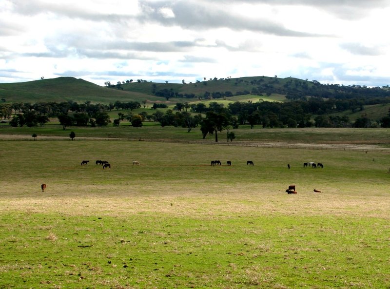 Gundagai NSW 2722