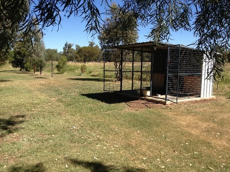 Photo - Gunnedah NSW 2380 - Image 2