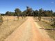 Photo - Gunnedah NSW 2380 - Image 8