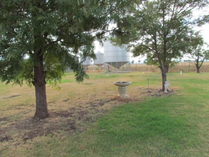 Photo - Gunnedah NSW 2380 - Image 14