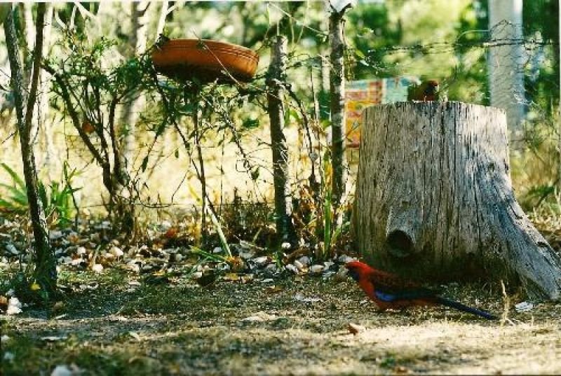 Photo - Halls Gap VIC 3381 - Image 2