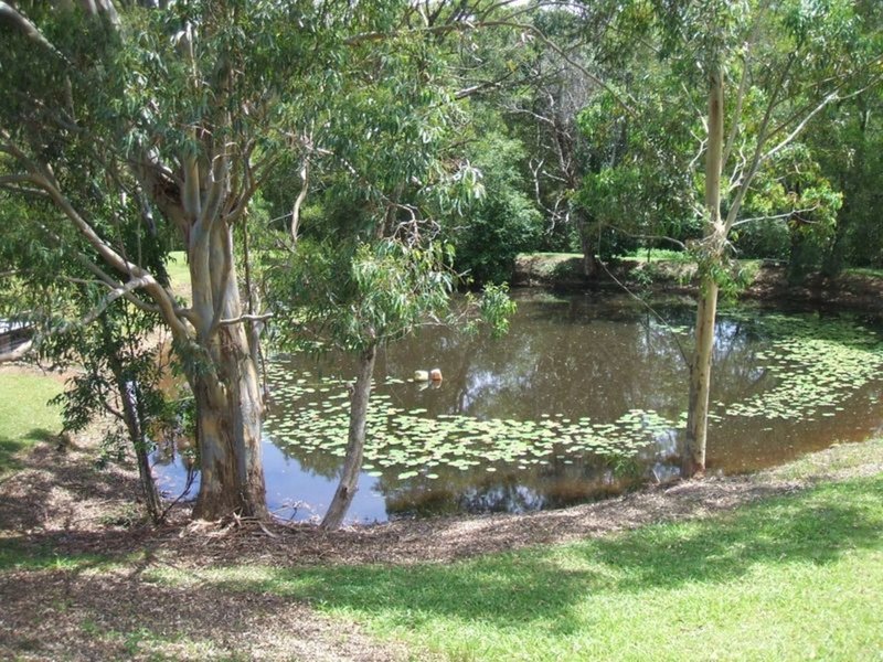 Photo - Hannam Vale NSW 2443 - Image 19