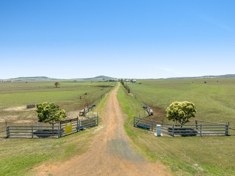 Photo - "Harmony Heights" 253 Gillam Road, Nobby QLD 4360 - Image 3