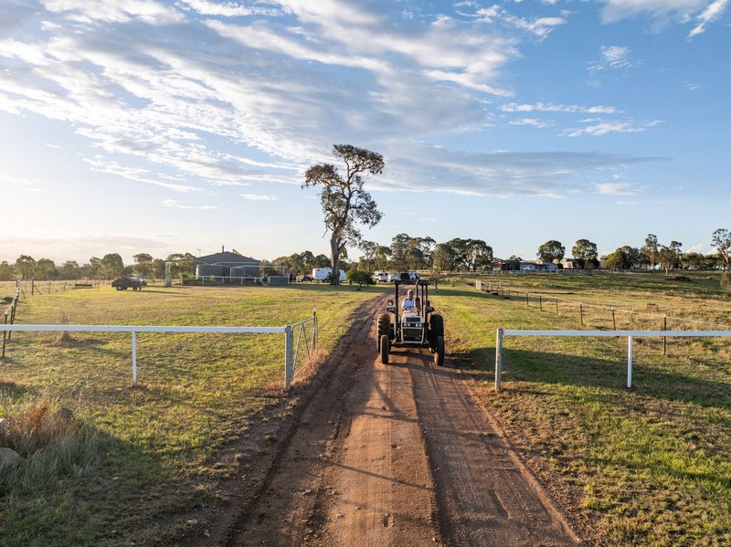 Photo - "Harpley Park" 2671 Barton Highway, Jeir NSW 2582 - Image 2