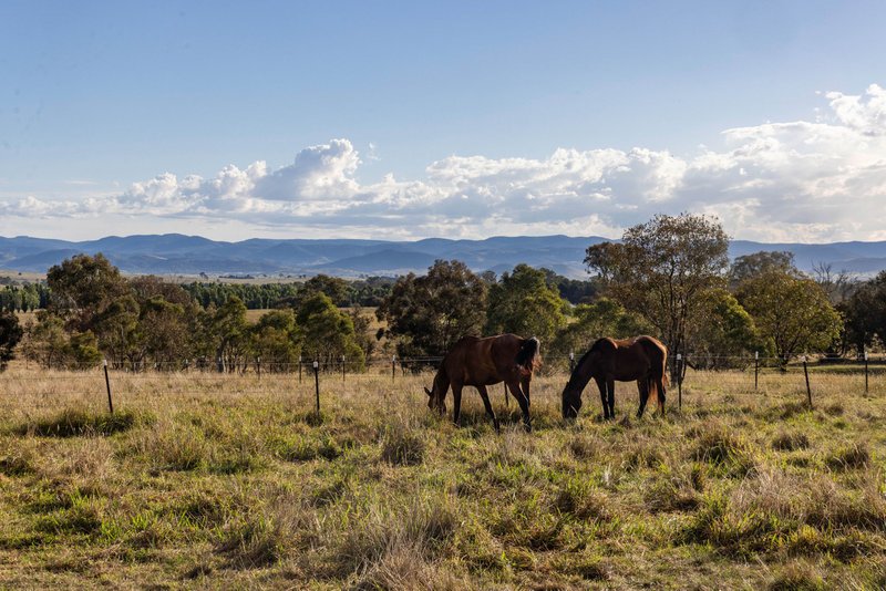 Photo - "Harpley Park" 2671 Barton Highway, Jeir NSW 2582 - Image 11