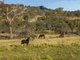 Photo - "Harpley Park" 2671 Barton Highway, Jeir NSW 2582 - Image 17