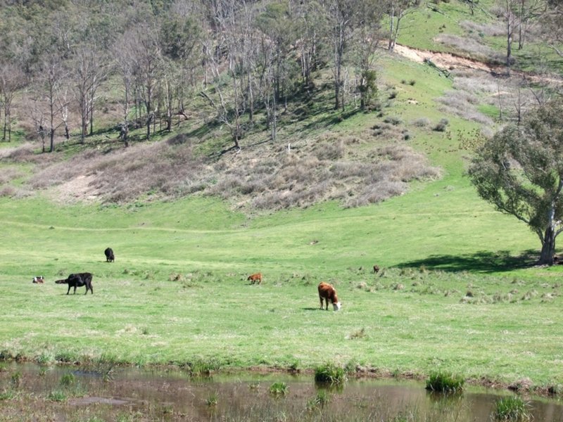 Photo - Hartley NSW 2790 - Image 2