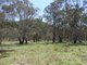 Photo - Hartley NSW 2790 - Image 15