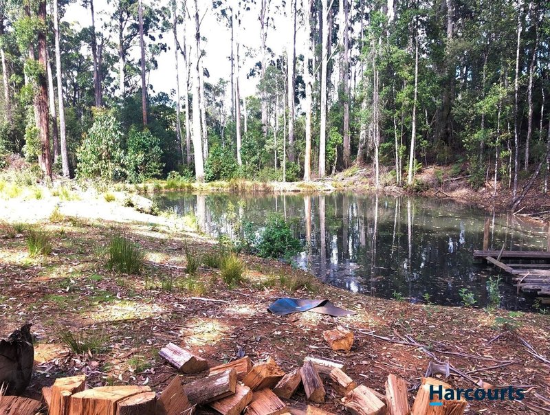 Photo - . Harveys Road, North Motton TAS 7315 - Image 12