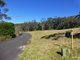 Photo - Hazelbrook NSW 2779 - Image 1