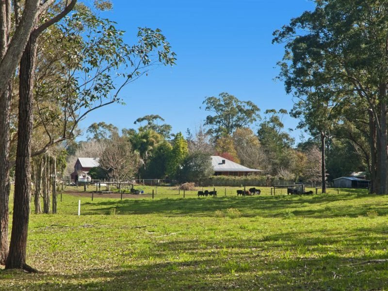 Photo - Herons Creek NSW 2443 - Image 4