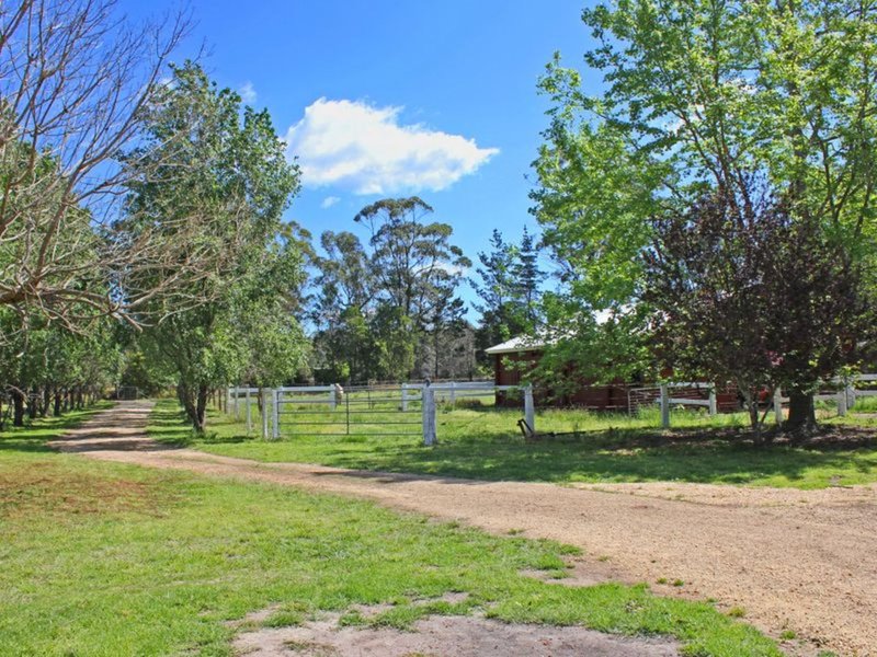 Photo - Herons Creek NSW 2443 - Image 18