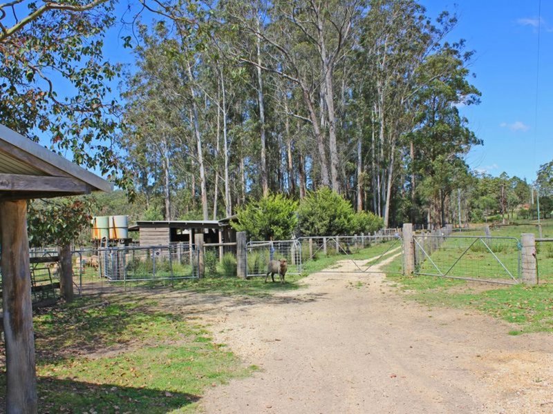 Photo - Herons Creek NSW 2443 - Image 19