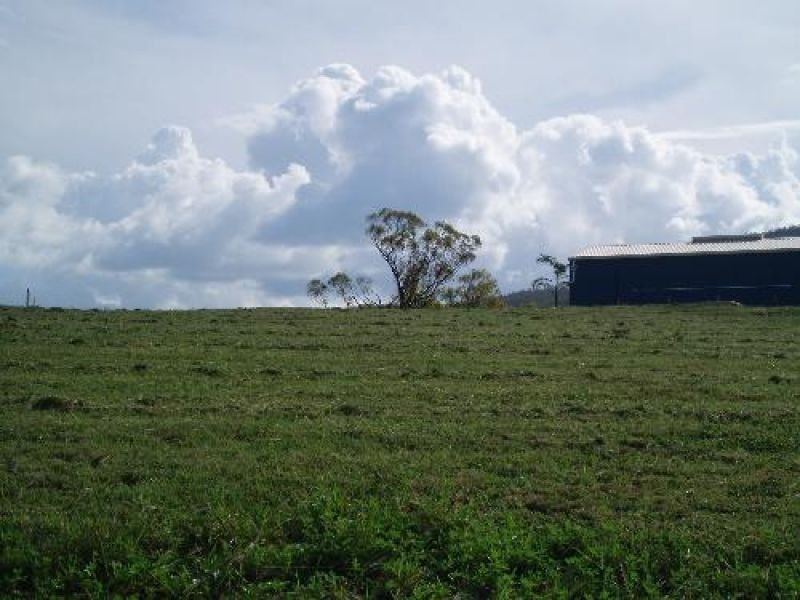 Photo - Hideaway Bay QLD 4800 - Image 7