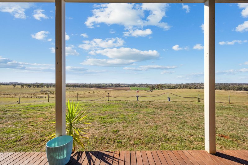 Photo - "Hilltops" 262 Cooringle Road, Harden NSW 2587 - Image 14